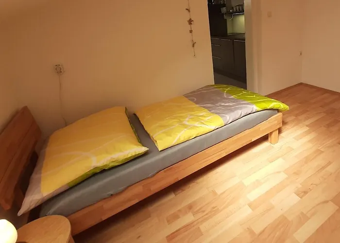 Lägenhet Stadion Linz